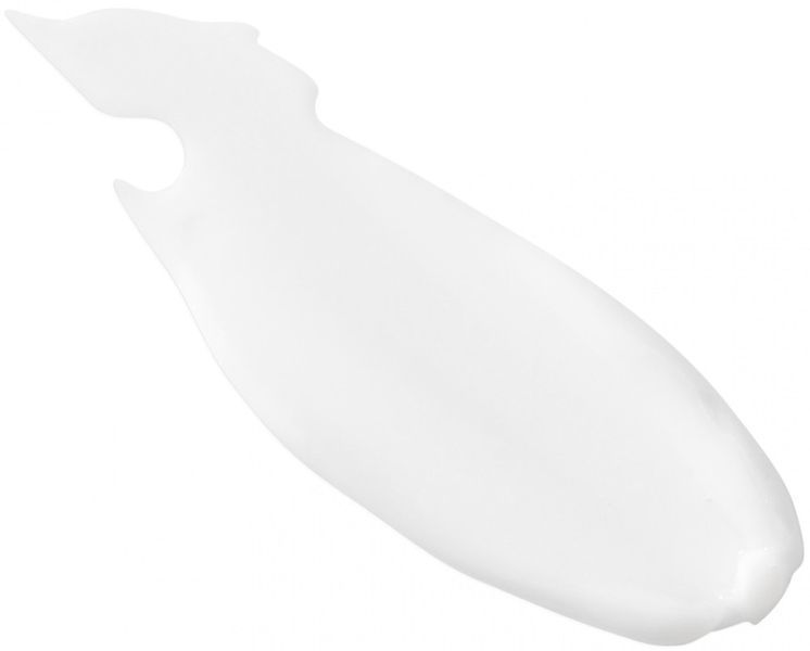 Ночной крем с ниацинамидом Christina Line Repair Nutrient Niacinamide Night Cream, 60 ml 138957 фото