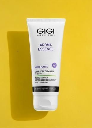 Рідке мило для комбінованої та жирної шкіри Gigi Aroma Essence Deep Pore Cleanser, 200 ml 137886 фото