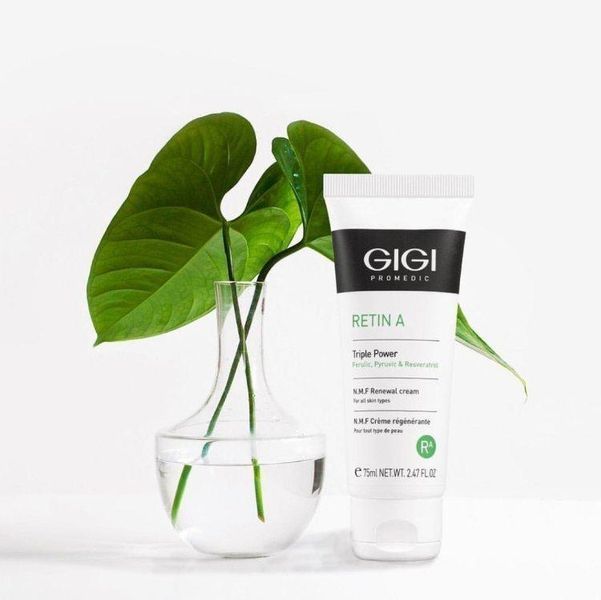 Крем на основе N.M.F. Gigi Promedic Renewal Cream, 75 ml 113158 фото